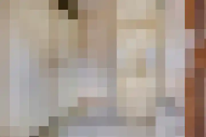 Looierij 27 Meppel thumbnail 6