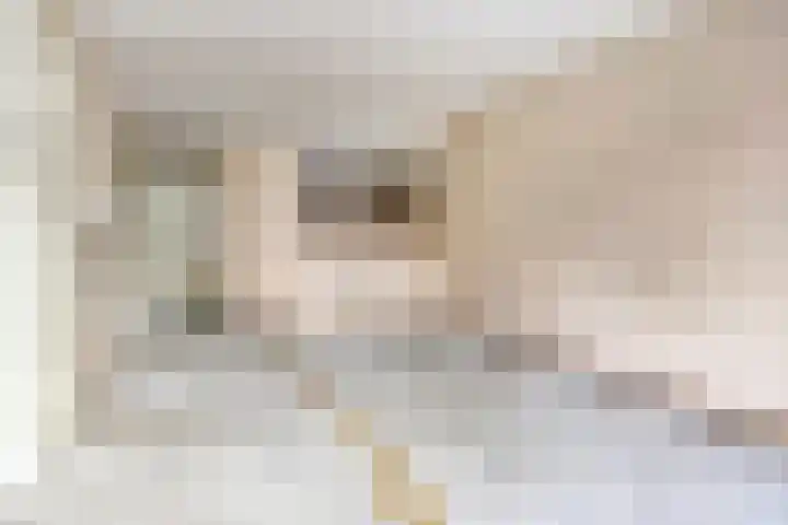 Looierij 27 Meppel thumbnail 9