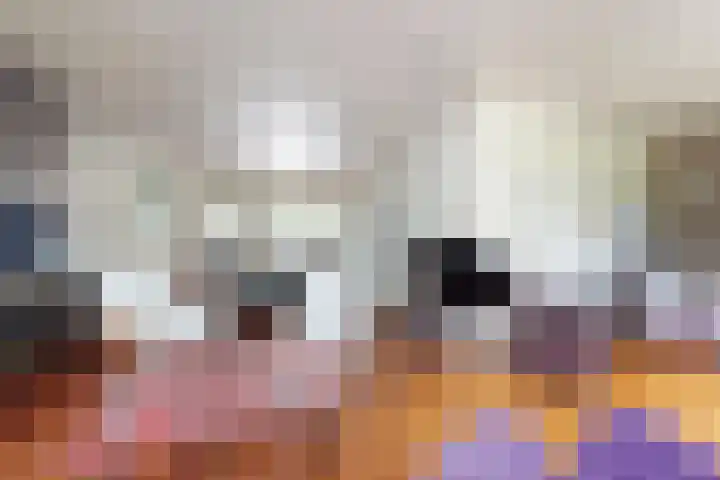 Looierij 3 Zevenbergen thumbnail 16