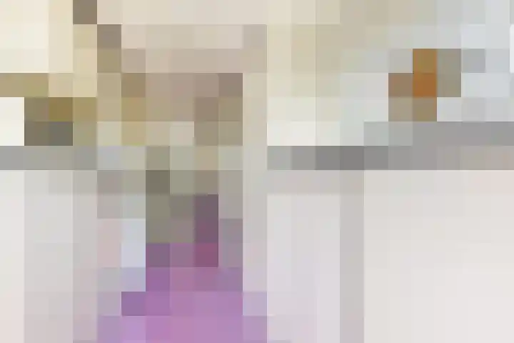 Looierij 3 Zevenbergen thumbnail 34