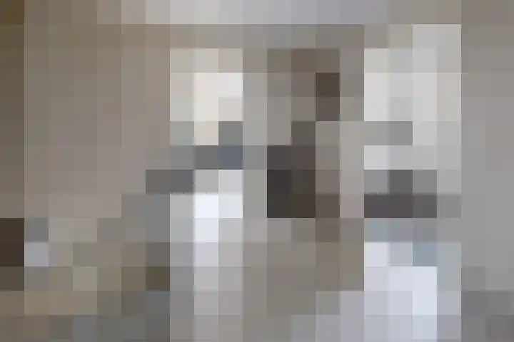 Looierij 3 Zevenbergen thumbnail 37