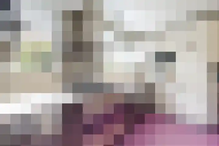 Looierij 3 Zevenbergen thumbnail 4