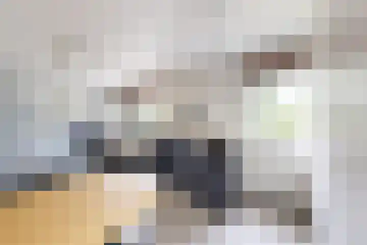Looierij 3 Zevenbergen thumbnail 50