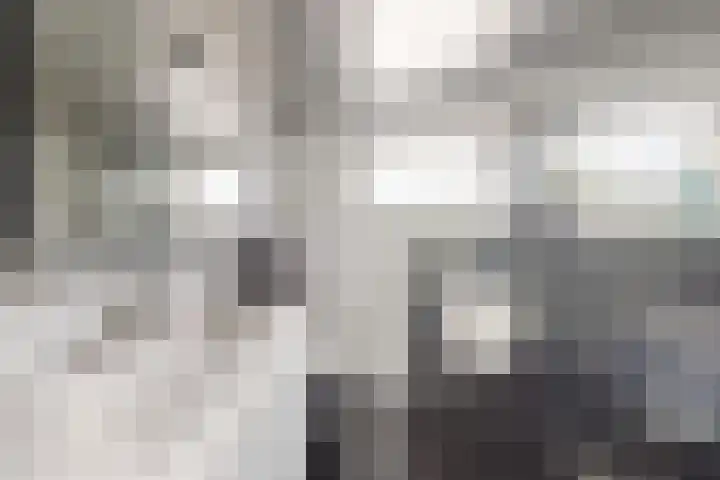 Looierij 3 Zevenbergen thumbnail 54