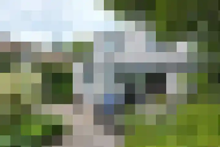 Looierij 3 Zevenbergen thumbnail 58