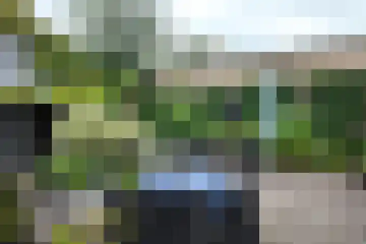 Looierij 3 Zevenbergen thumbnail 6