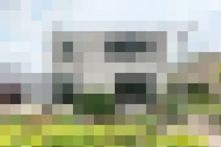 Looierij 3 Zevenbergen thumbnail 66