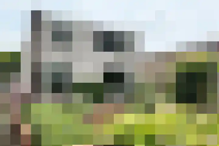Looierij 3 Zevenbergen thumbnail 67