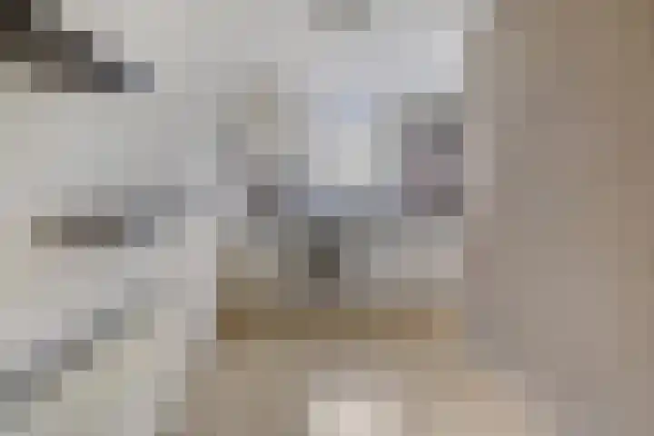 Looierij 49 Meppel thumbnail 10