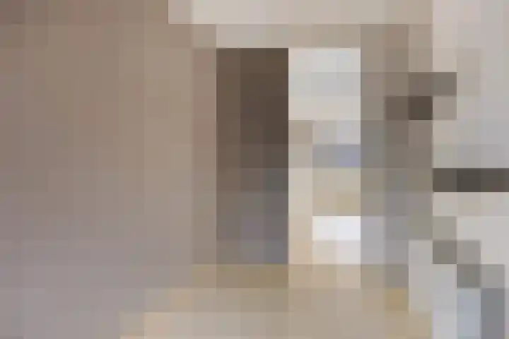 Looierij 49 Meppel thumbnail 11