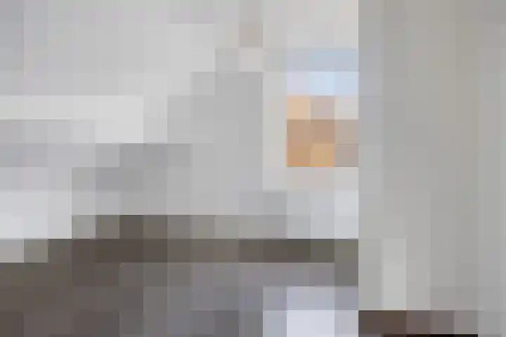Looierij 49 Meppel thumbnail 18