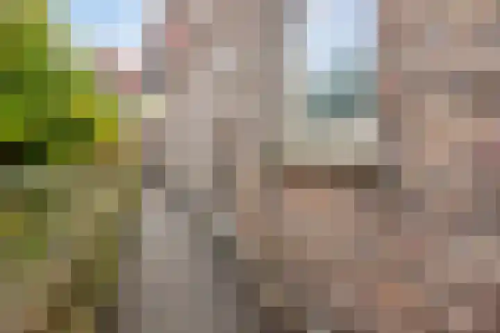 Looierij 49 Meppel thumbnail 19