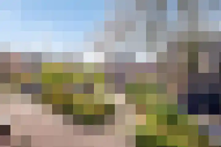 Looierij 49 Meppel thumbnail 31