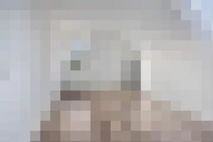 Looierij 49 Meppel thumbnail 4