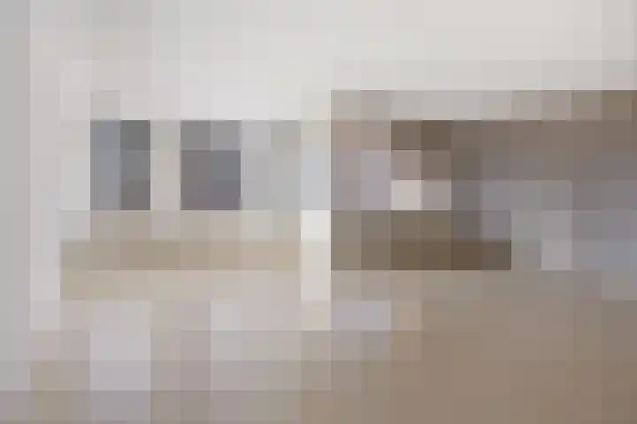 Looierij 49 Meppel thumbnail 6