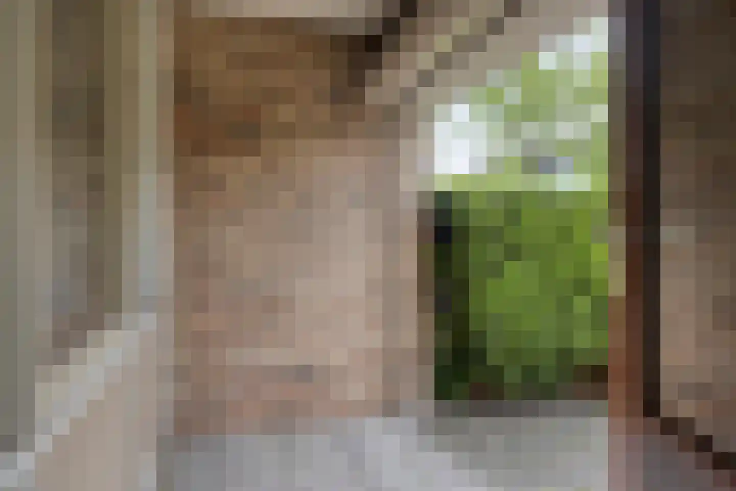 Looierij 5 Meppel thumbnail 20