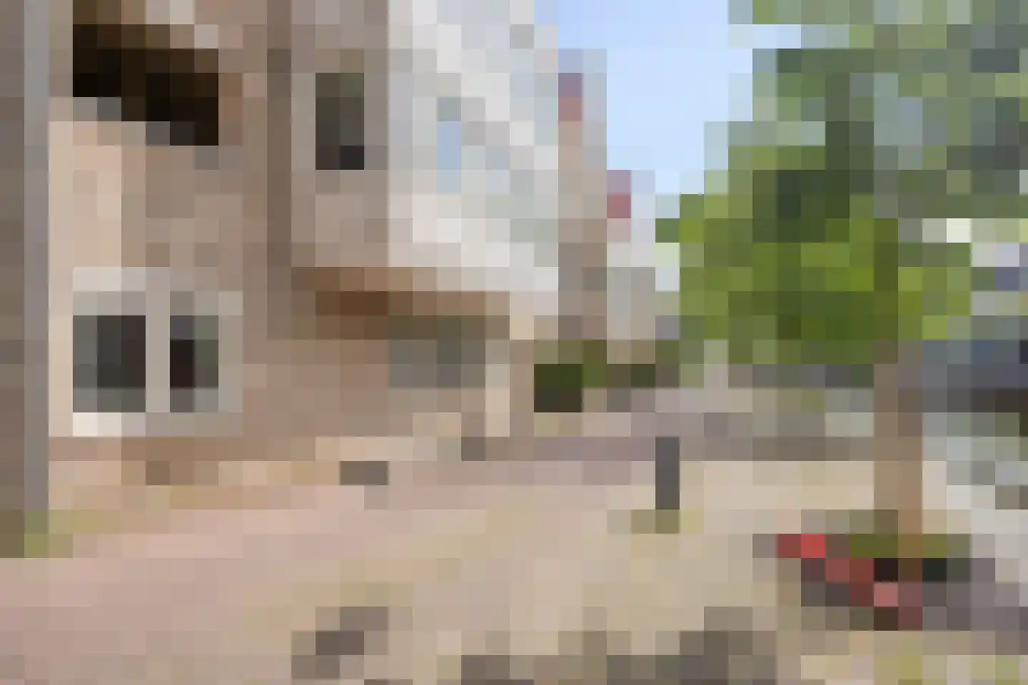 Looierij 5 Meppel thumbnail 26