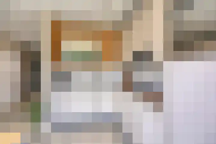 Looierij 5 Waalwijk thumbnail 10