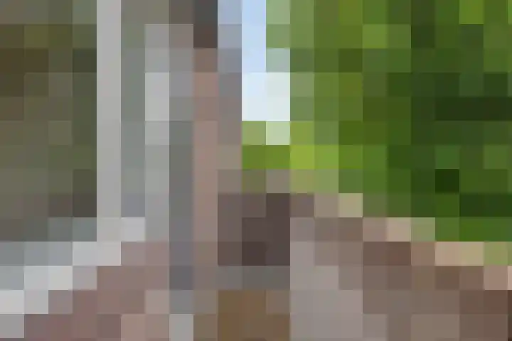 Looierij 5 Waalwijk thumbnail 15