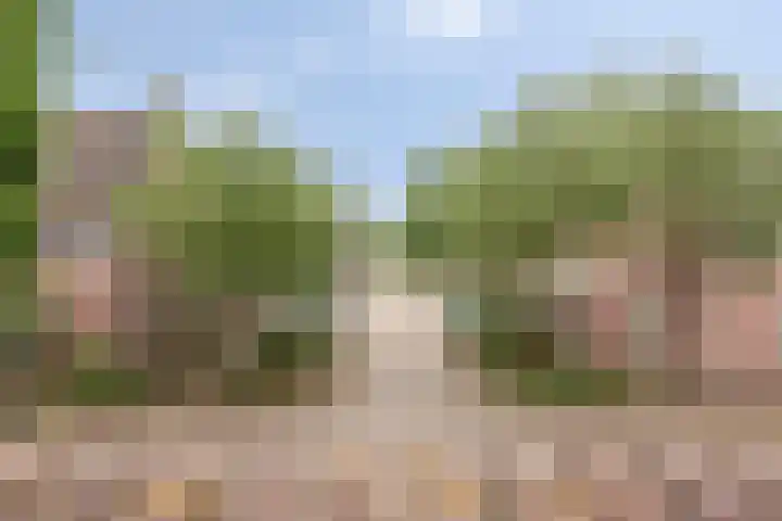 Looierij 5 Waalwijk thumbnail 16