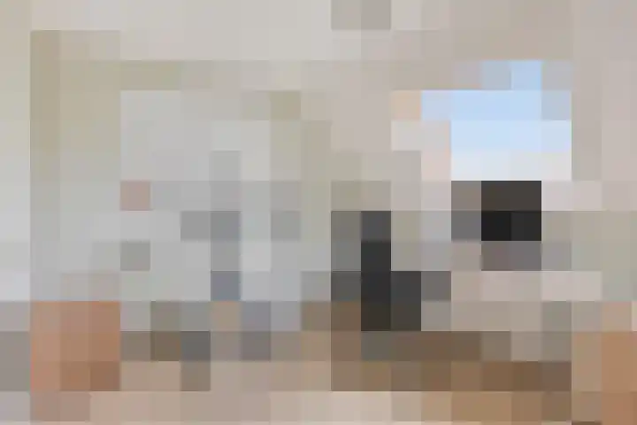 Looierij 5 Waalwijk thumbnail 19