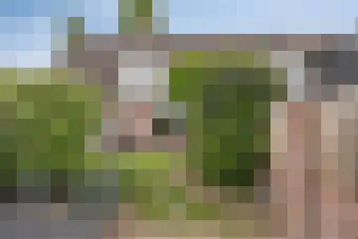 Looierij 5 Waalwijk thumbnail 24