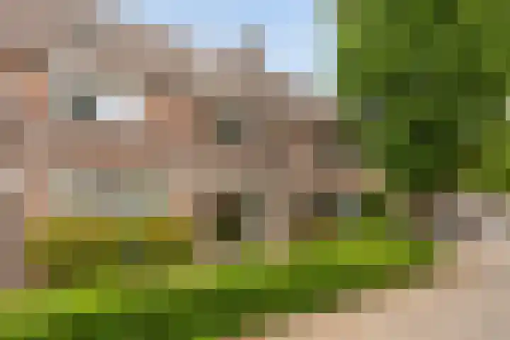 Looierij 5 Waalwijk thumbnail 27