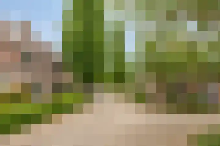 Looierij 5 Waalwijk thumbnail 28
