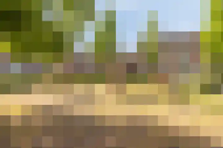 Looierij 5 Waalwijk thumbnail 29