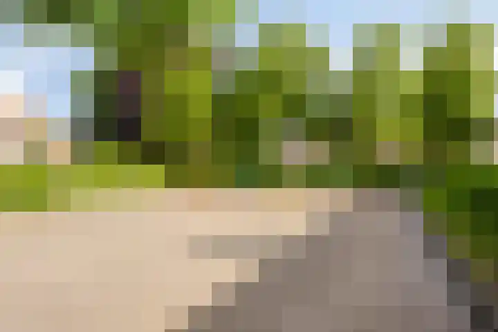 Looierij 5 Waalwijk thumbnail 30