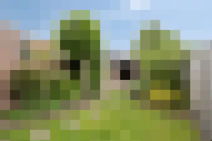 Looierij 5 Waalwijk thumbnail 4