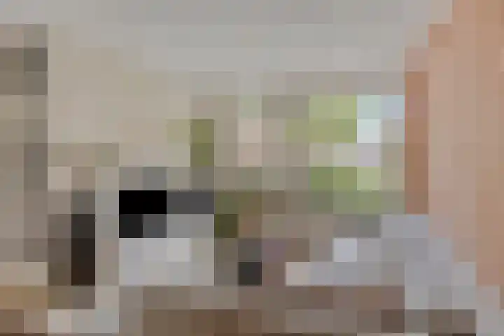 Looierij 5 Waalwijk thumbnail 6