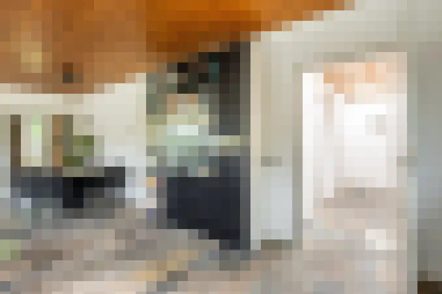 Looierij 5 Zevenbergen thumbnail 13