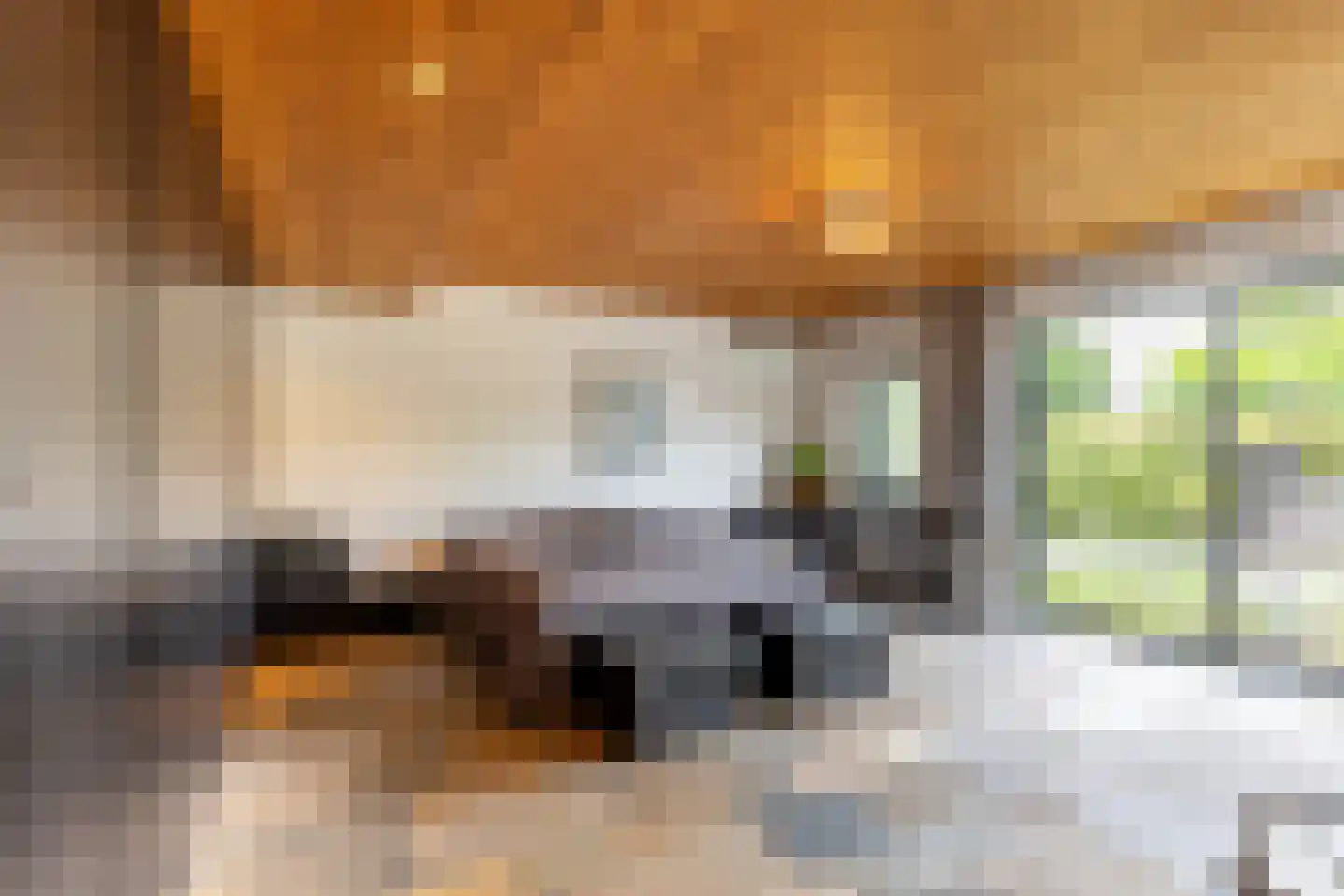 Looierij 5 Zevenbergen thumbnail 15