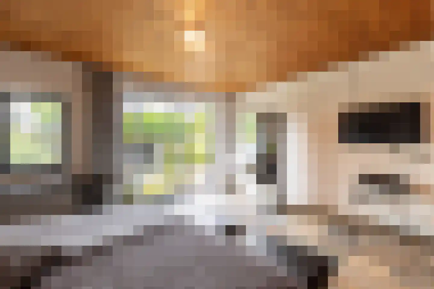 Looierij 5 Zevenbergen thumbnail 16