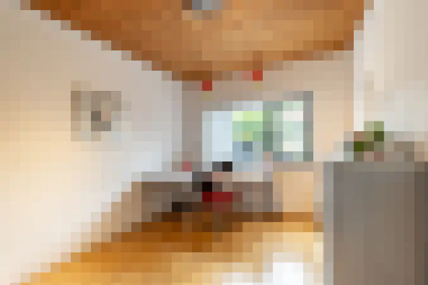 Looierij 5 Zevenbergen thumbnail 17