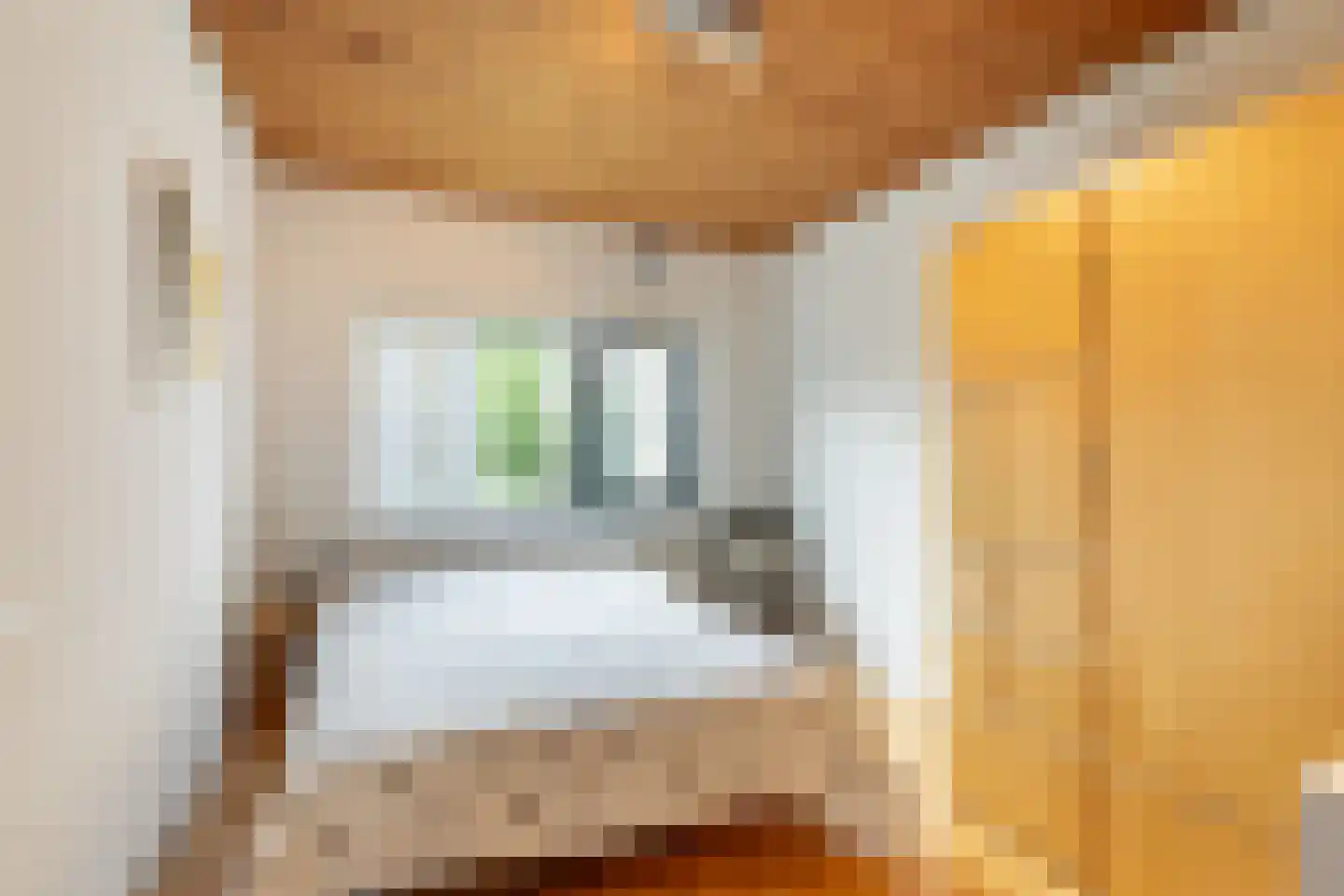 Looierij 5 Zevenbergen thumbnail 18