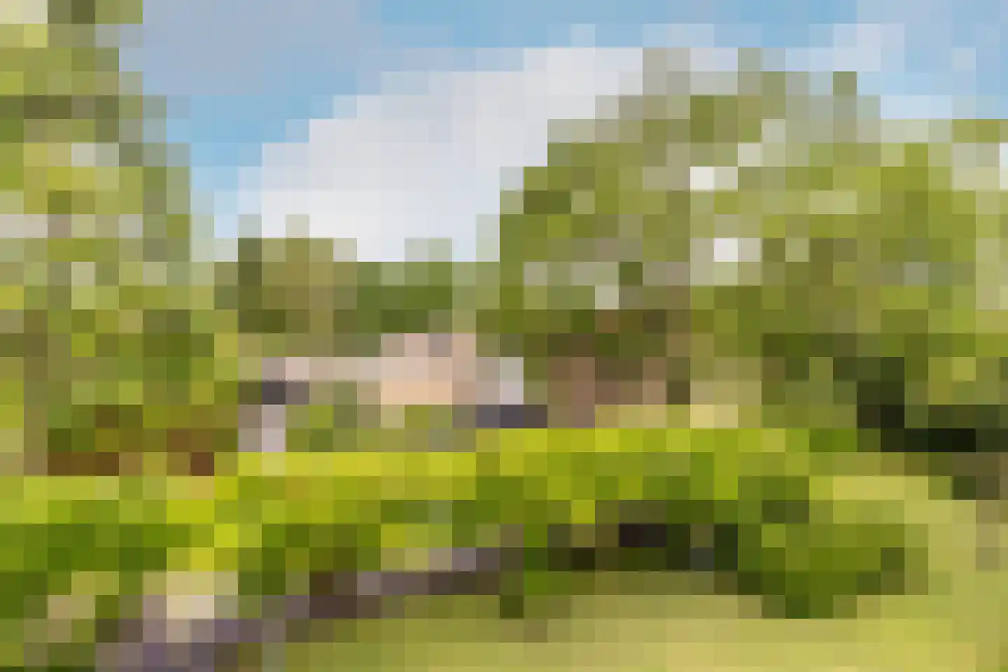 Looierij 5 Zevenbergen thumbnail 21