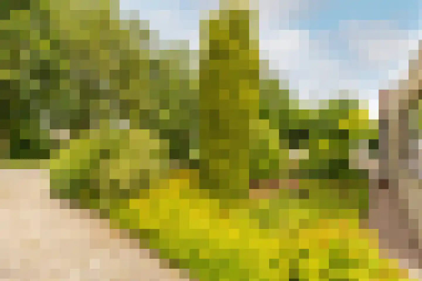 Looierij 5 Zevenbergen thumbnail 29