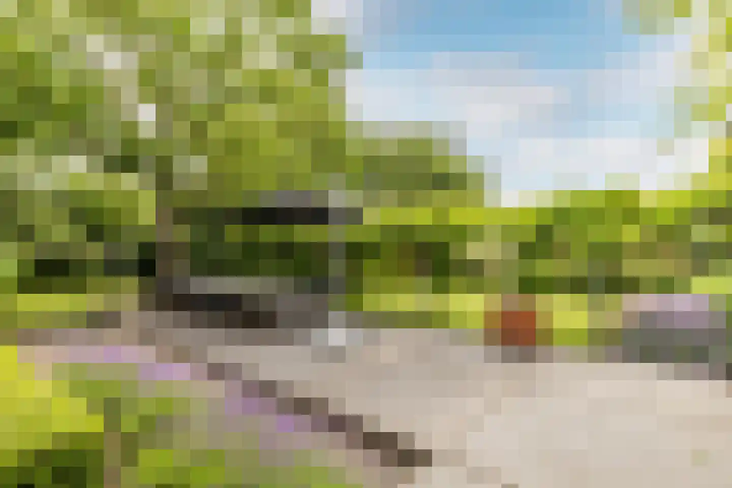 Looierij 5 Zevenbergen thumbnail 38