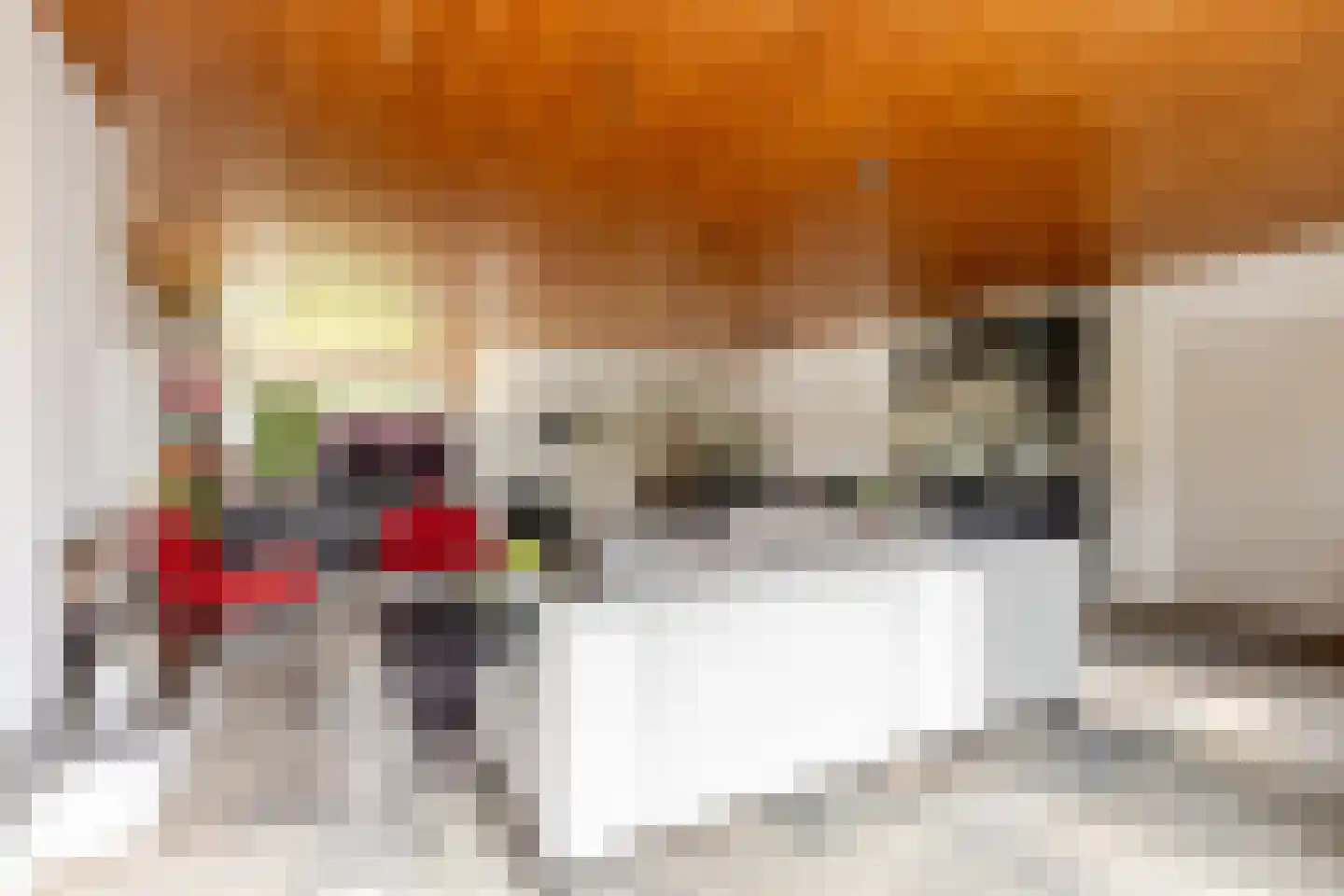 Looierij 5 Zevenbergen thumbnail 4