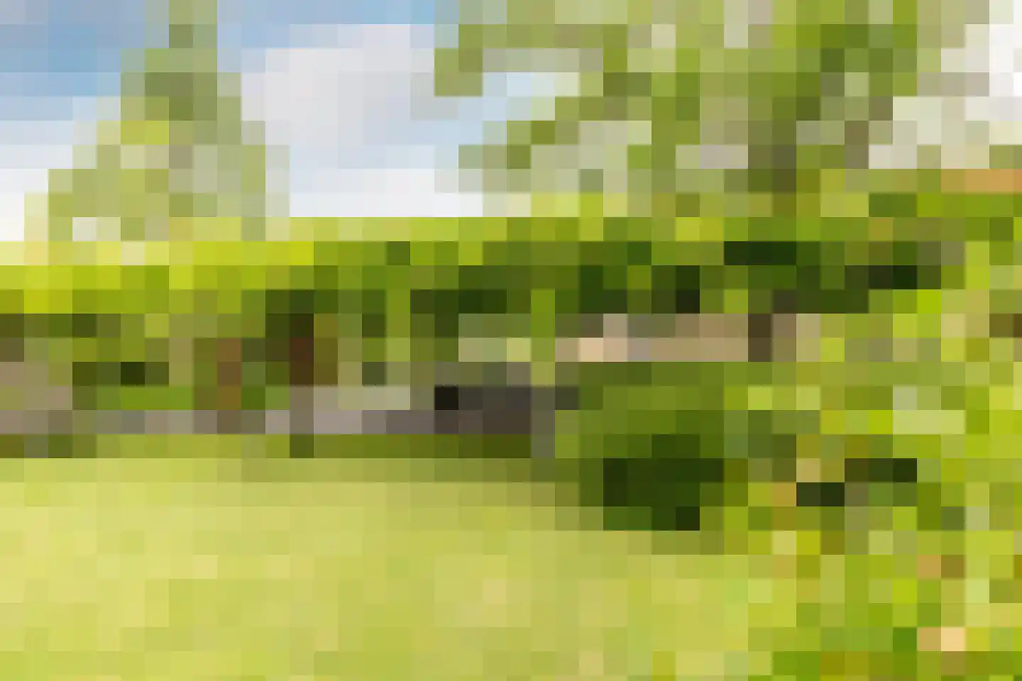 Looierij 5 Zevenbergen thumbnail 42