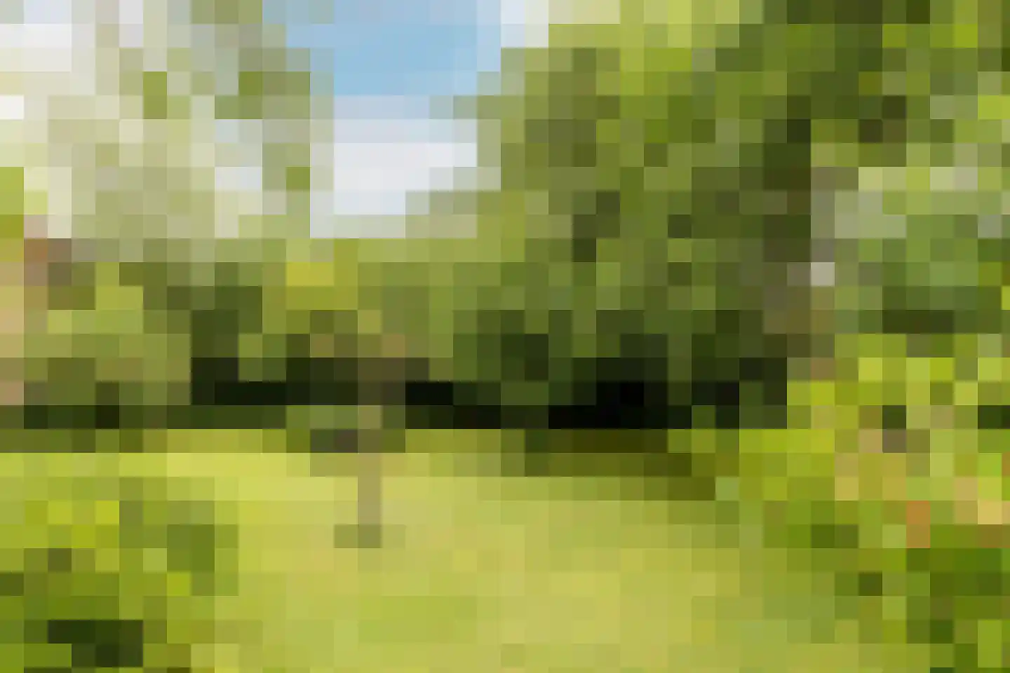 Looierij 5 Zevenbergen thumbnail 44