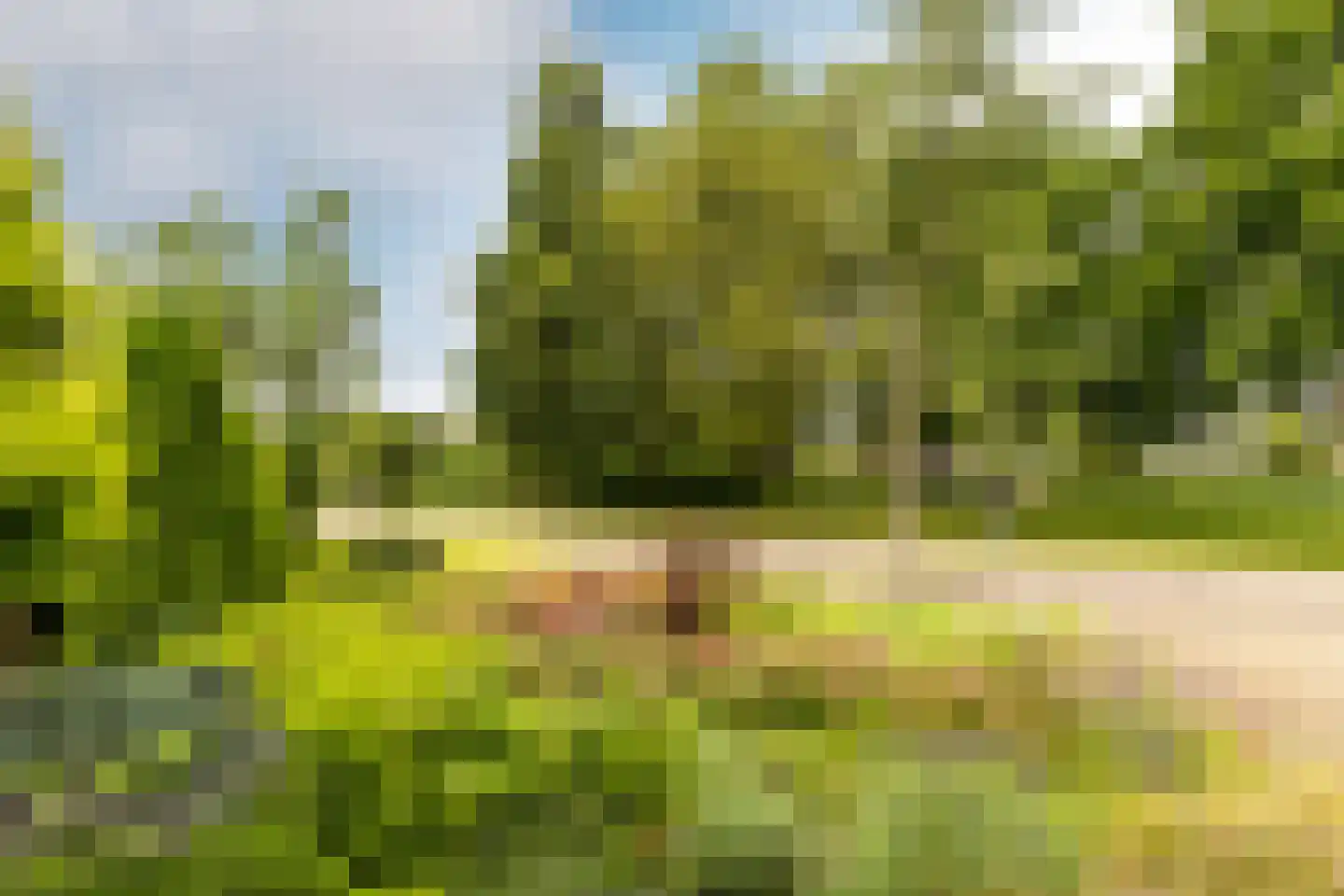 Looierij 5 Zevenbergen thumbnail 46