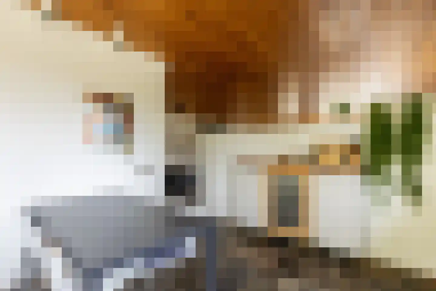 Looierij 5 Zevenbergen thumbnail 51