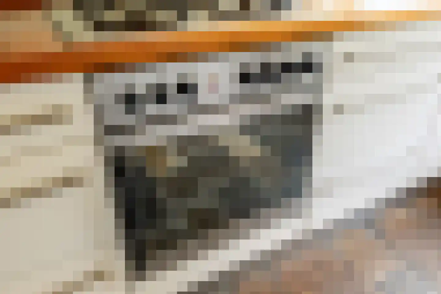 Looierij 5 Zevenbergen thumbnail 54