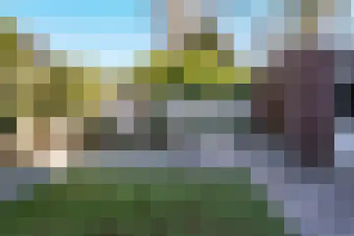 Looierij 50 Waalwijk thumbnail 26