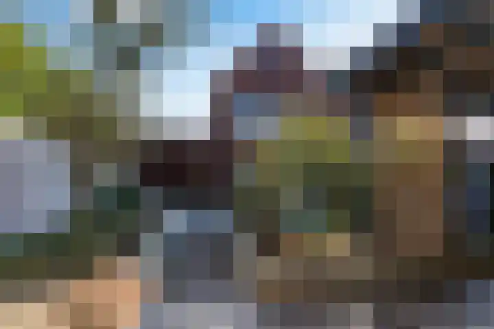 Looierij 50 Waalwijk thumbnail 30