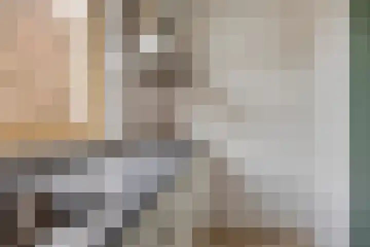 Looierij 53 Meppel thumbnail 13
