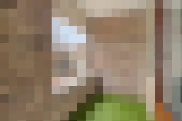 Looierij 53 Meppel thumbnail 4